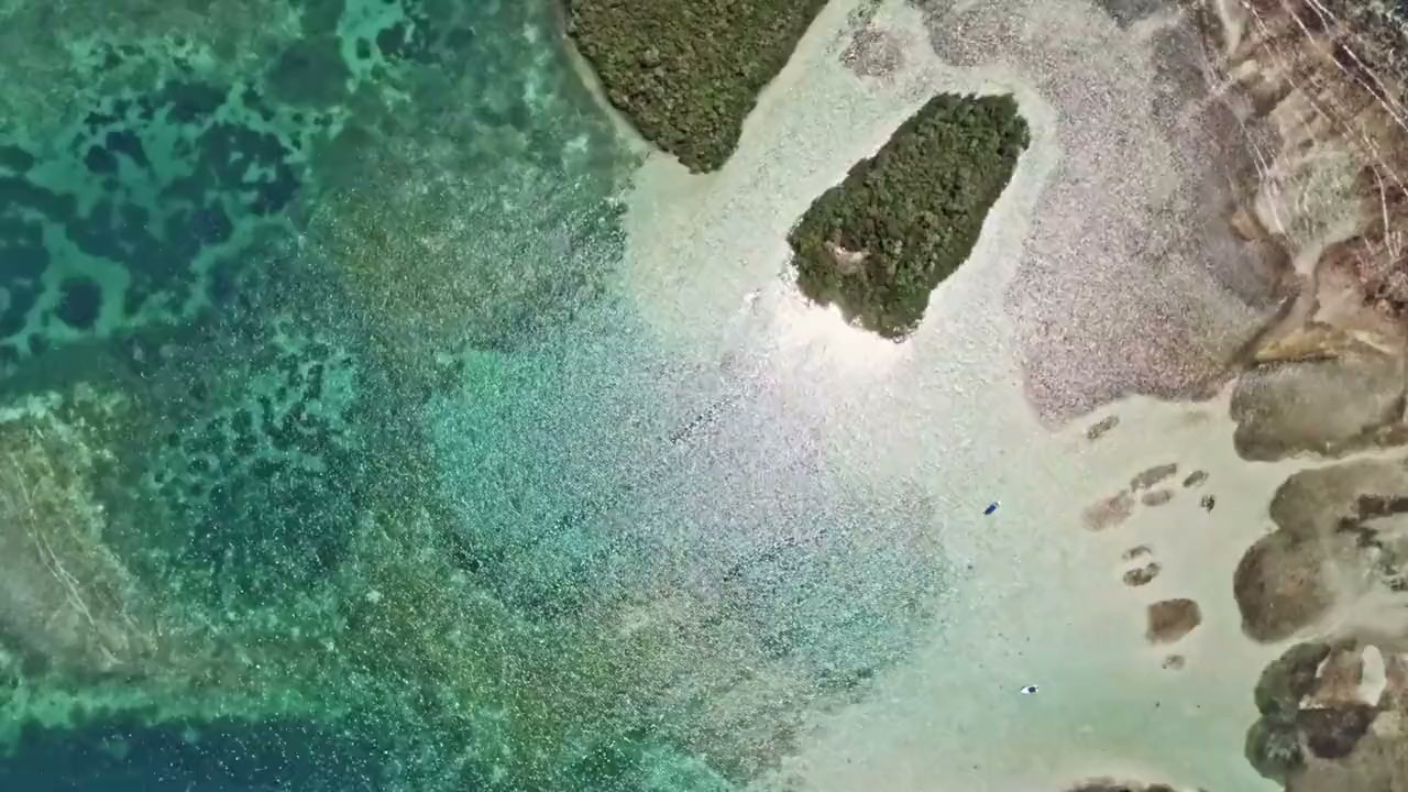 海と自然