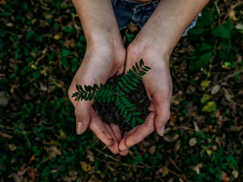Sustainable Materials